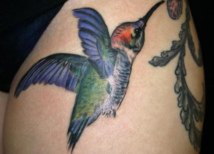 Hummingbird Images Tattoos